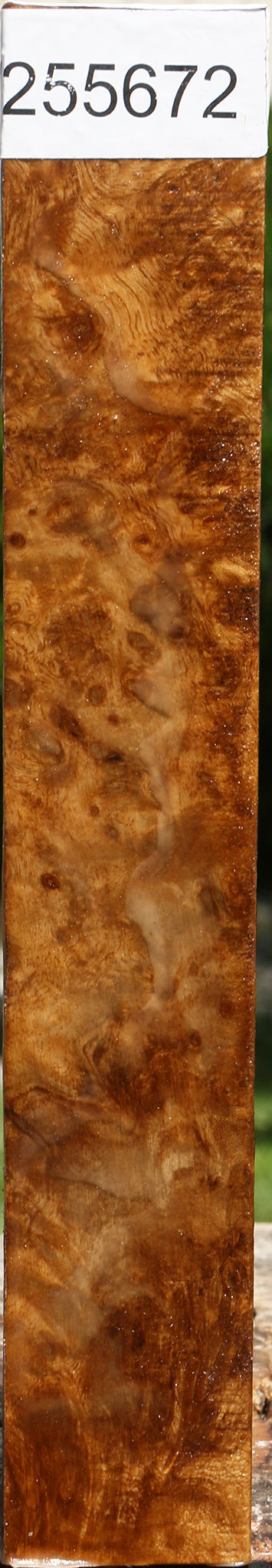 Almond Burl Turning Square