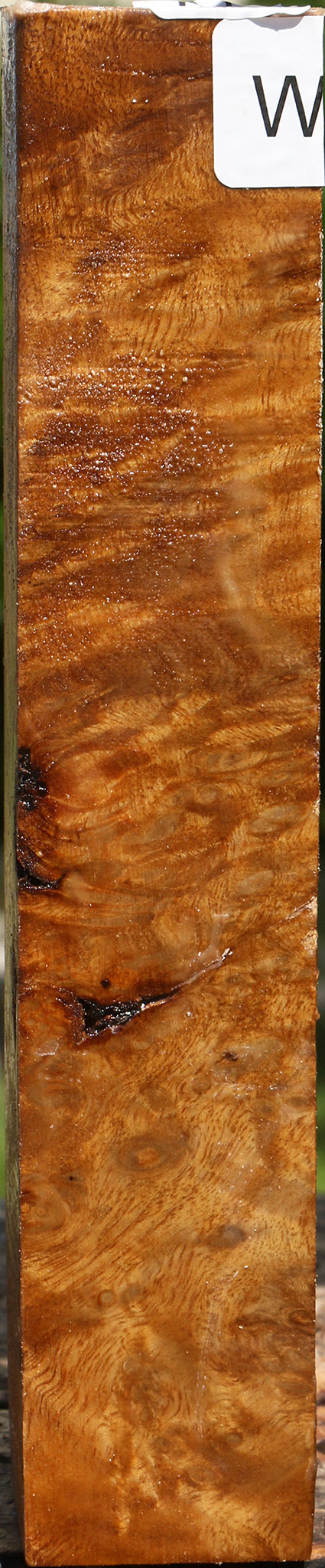 Almond Burl Turning Square