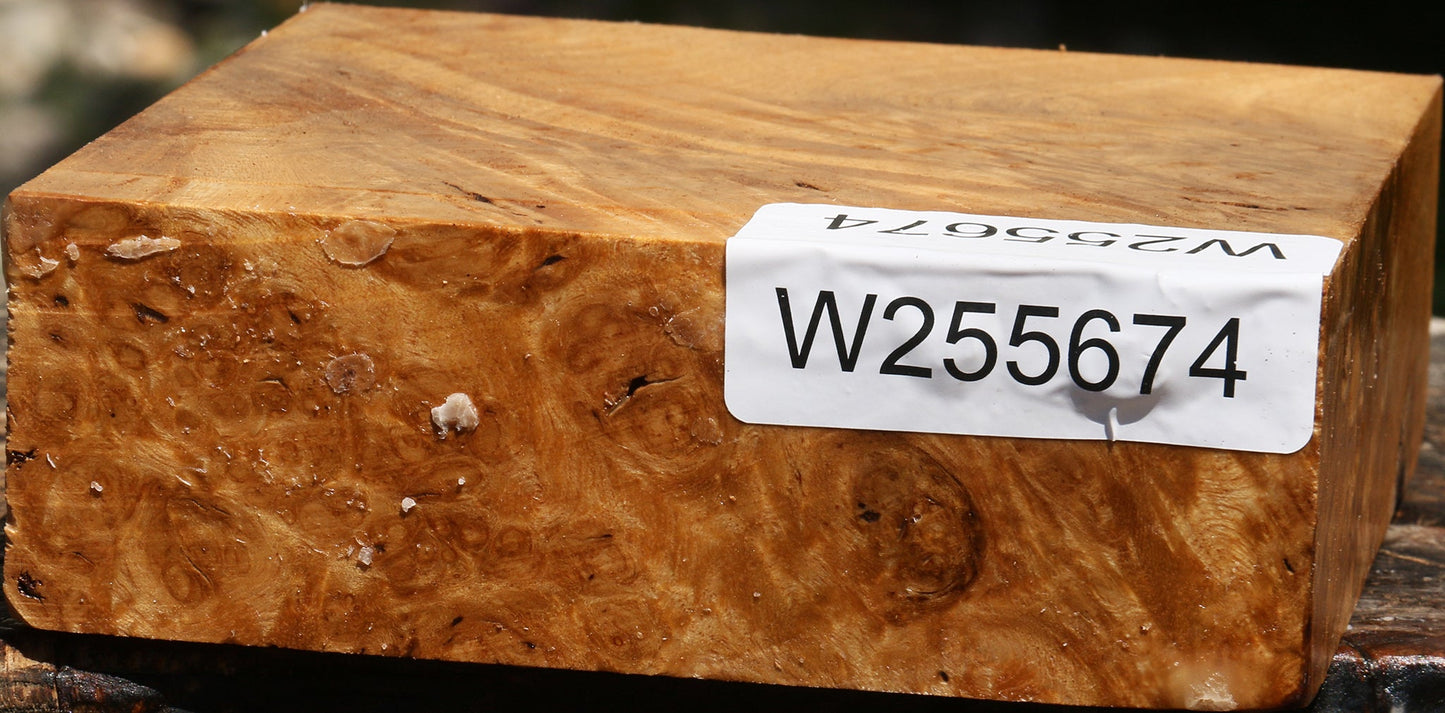 Almond Burl Bowl Blank