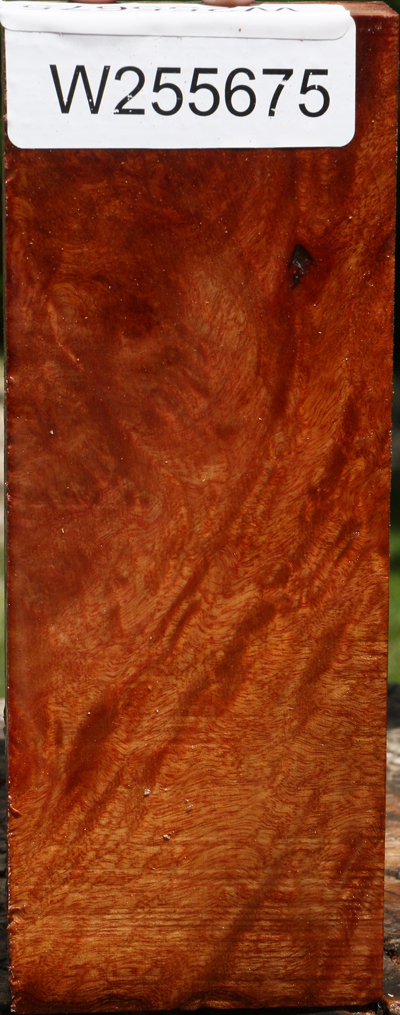 Camphor Turning Blank