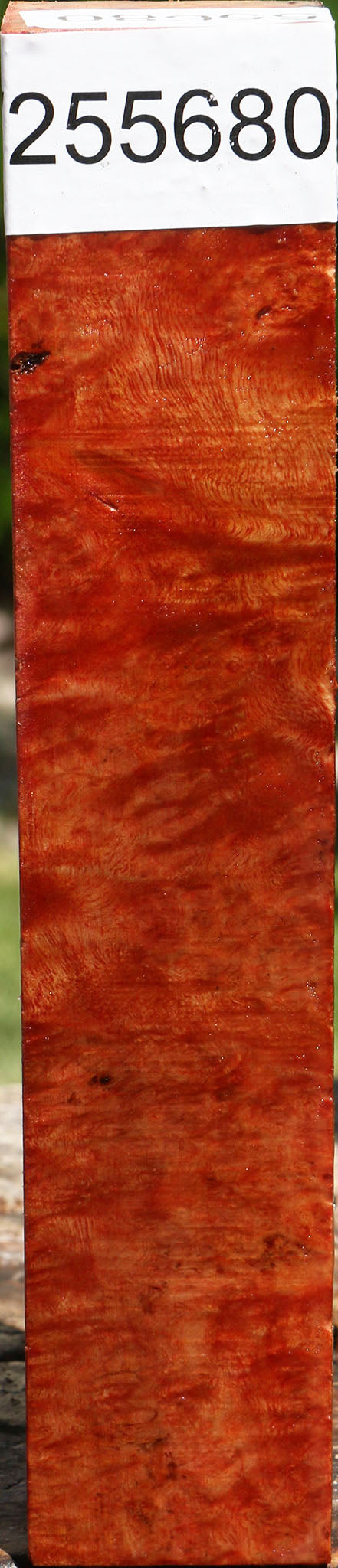 Rustic Camphor Burl Turning Square
