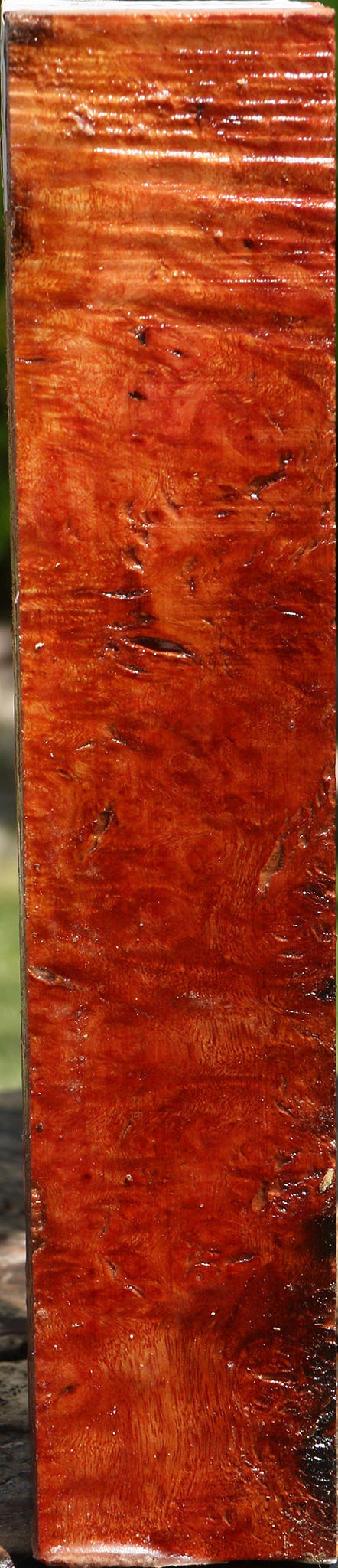 Rustic Camphor Burl Turning Square