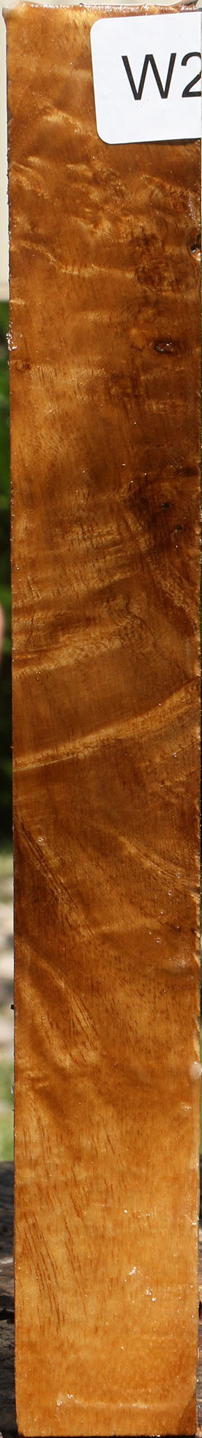 Almond Burl Turning Square