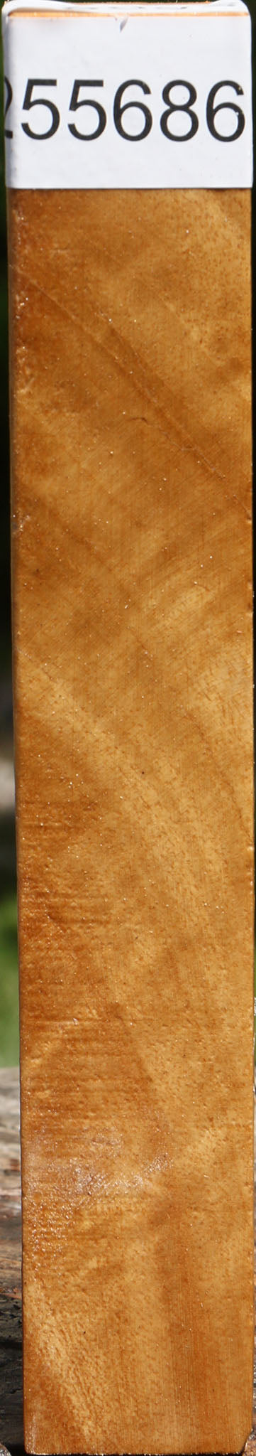Figured Almond Turning Square