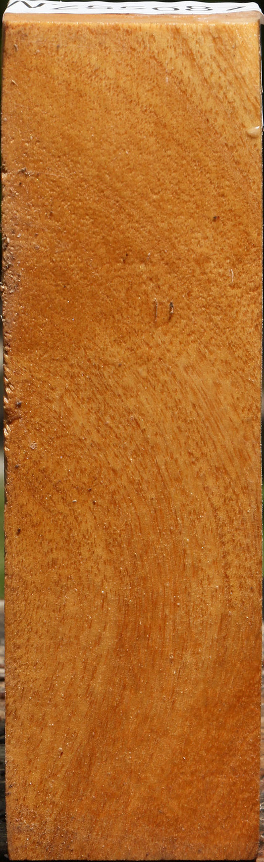 Almond Turning Blank