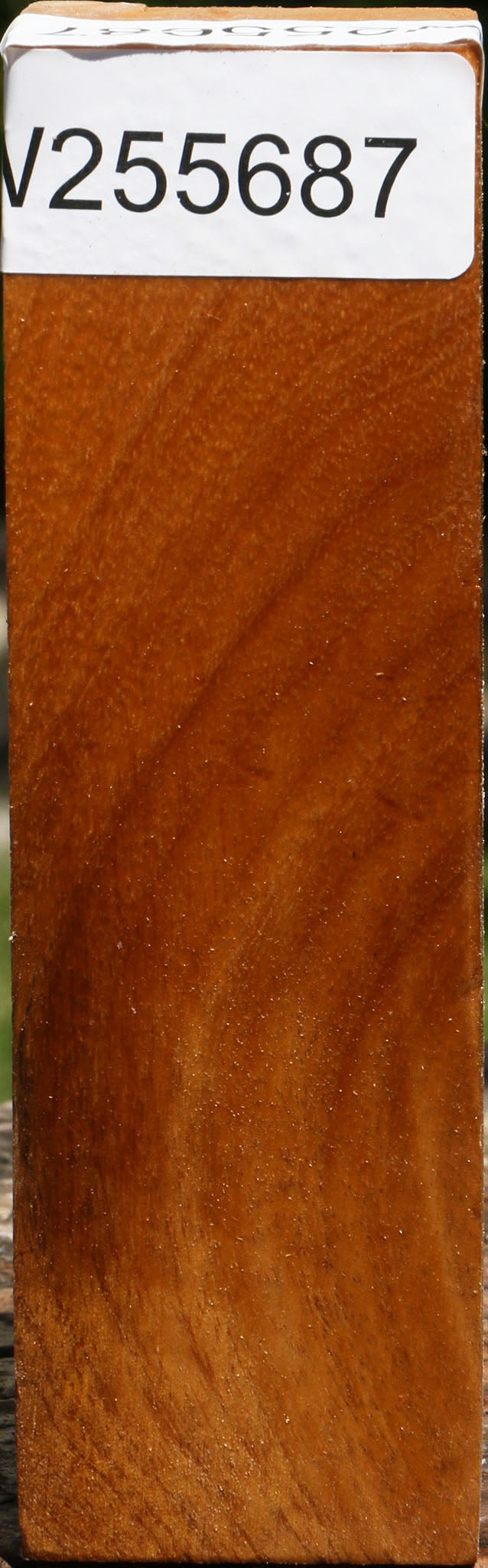 Almond Turning Blank