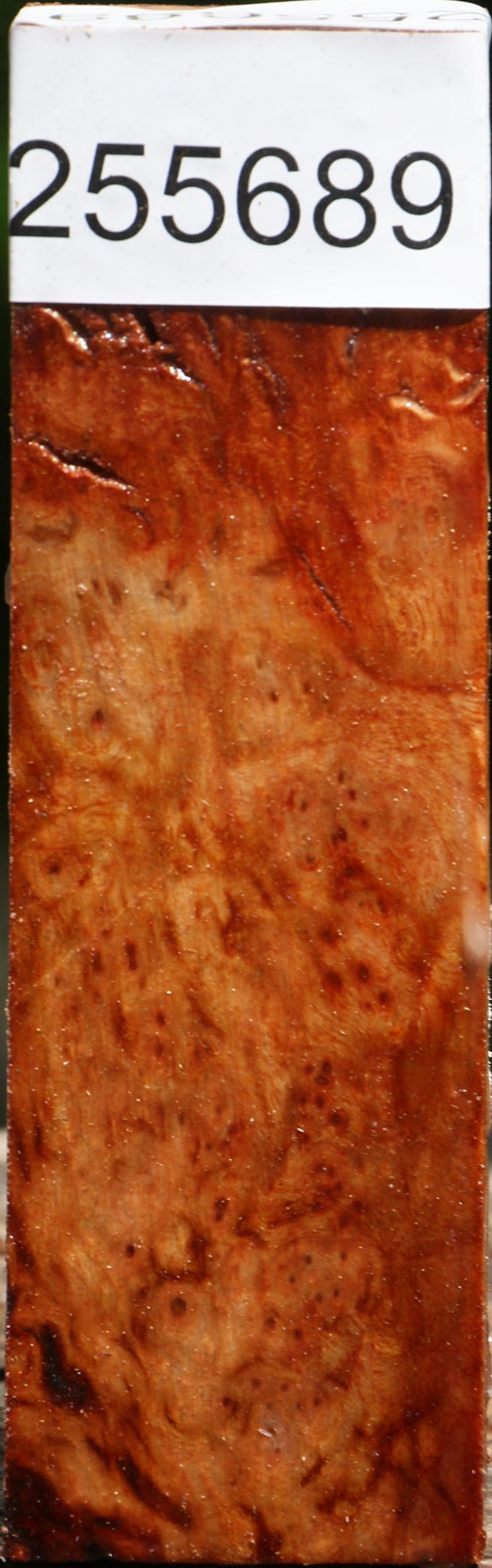 Rustic Camphor Burl Turning Square