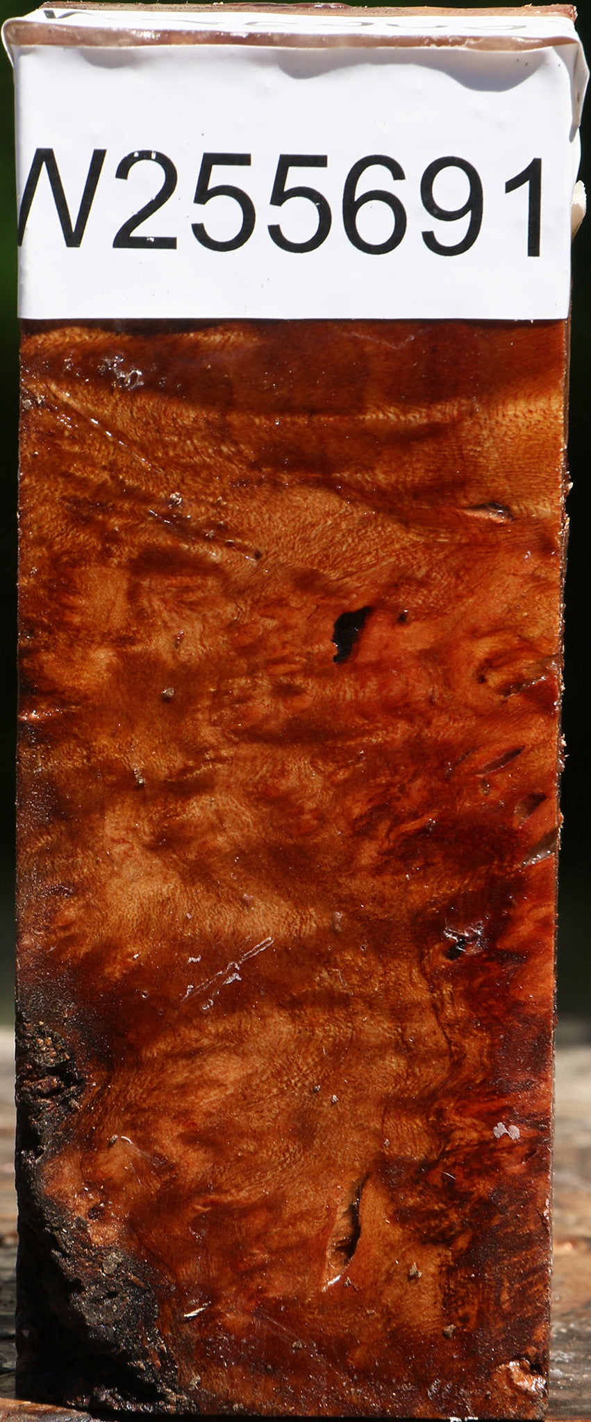 Rustic Afzelia Burl Turning Blank