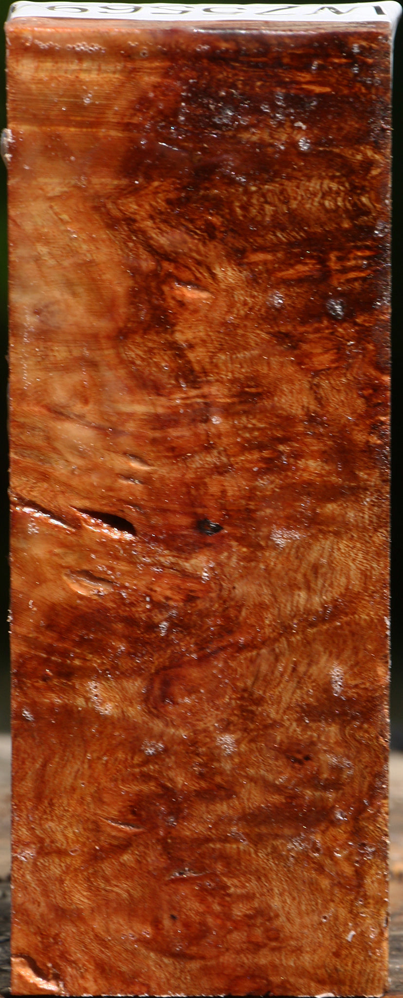 Rustic Afzelia Burl Turning Blank