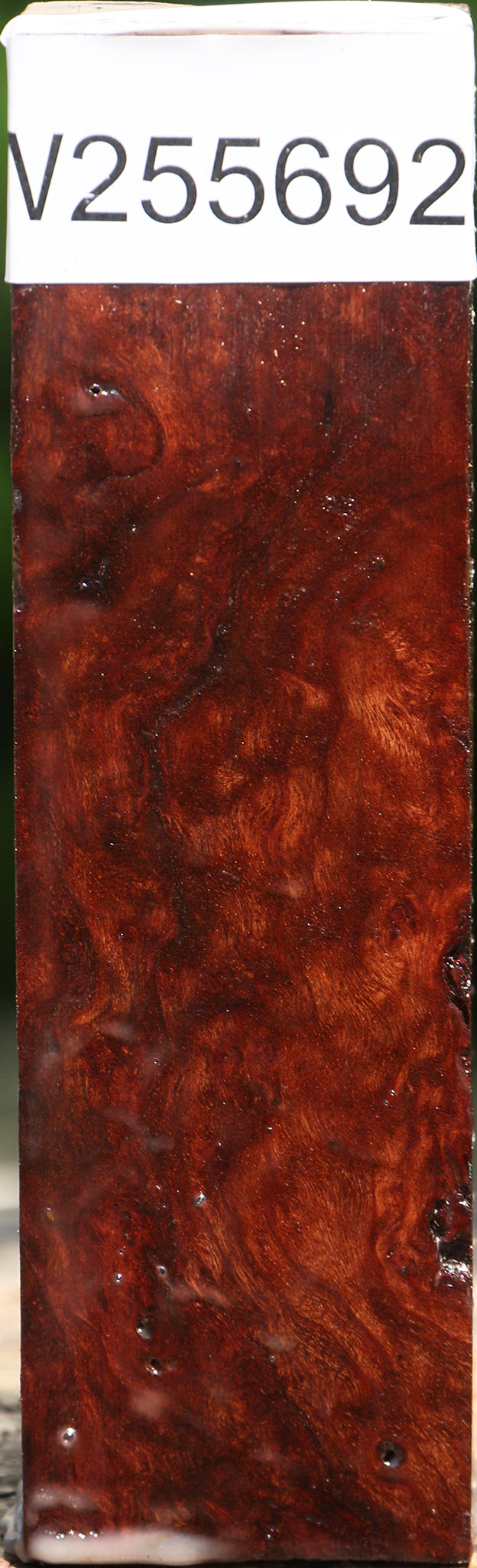 Rustic Afzelia Burl Turning Square
