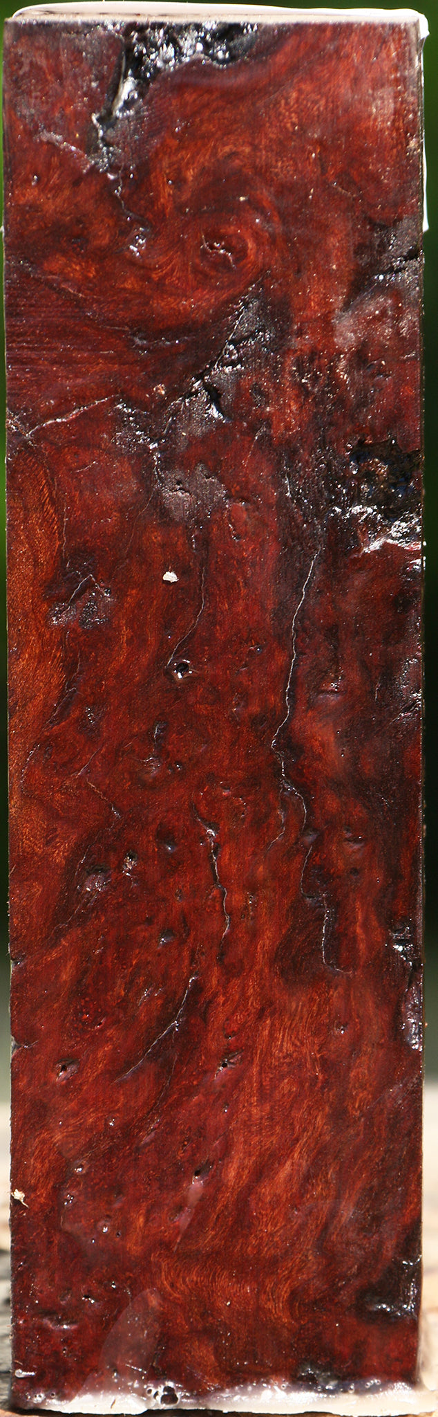 Rustic Afzelia Burl Turning Square
