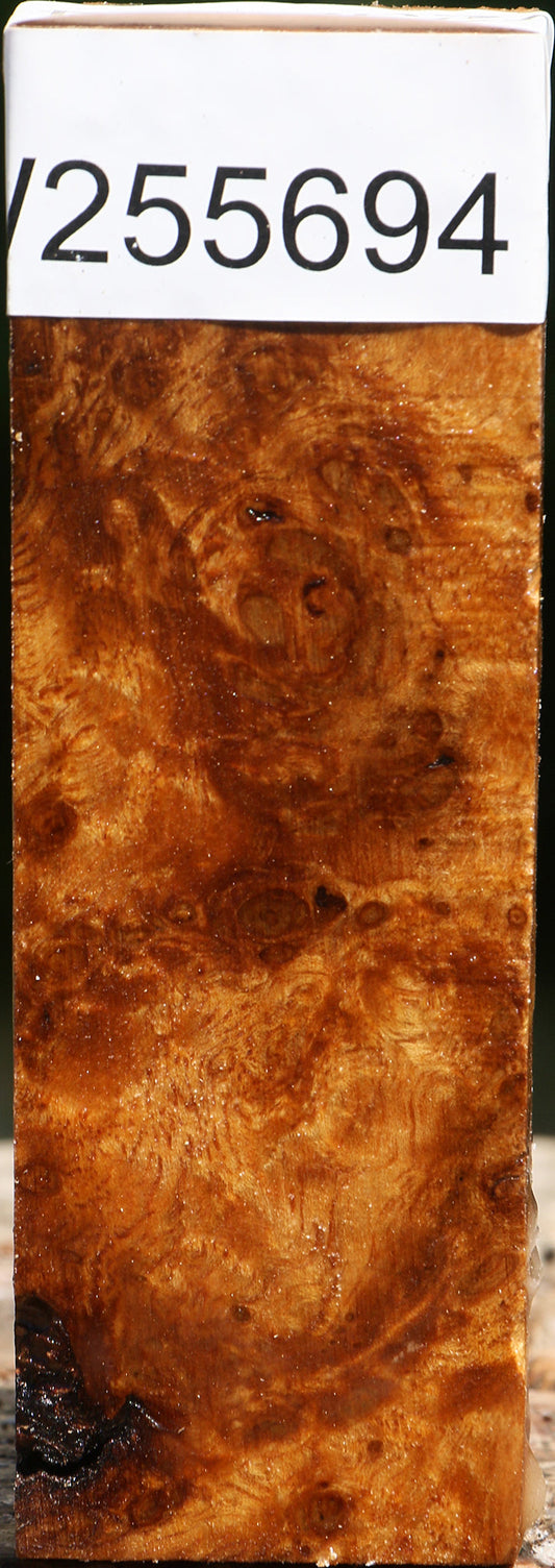 Almond Burl Turning Blank