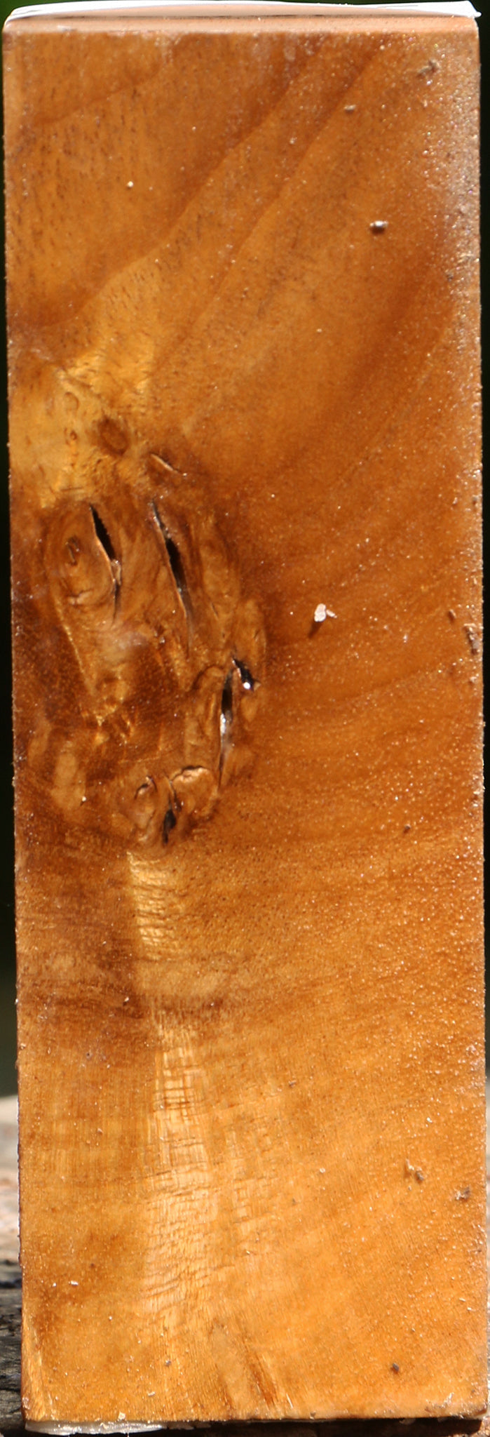 Figured Rustic Almond Turning Square
