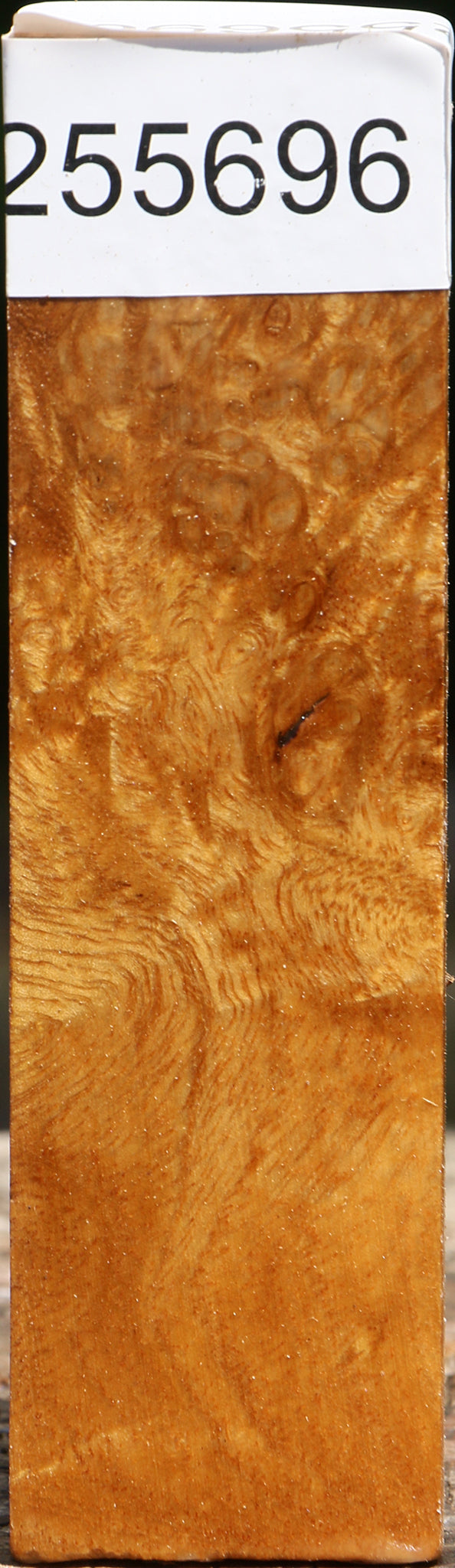 Almond Burl Turning Blank