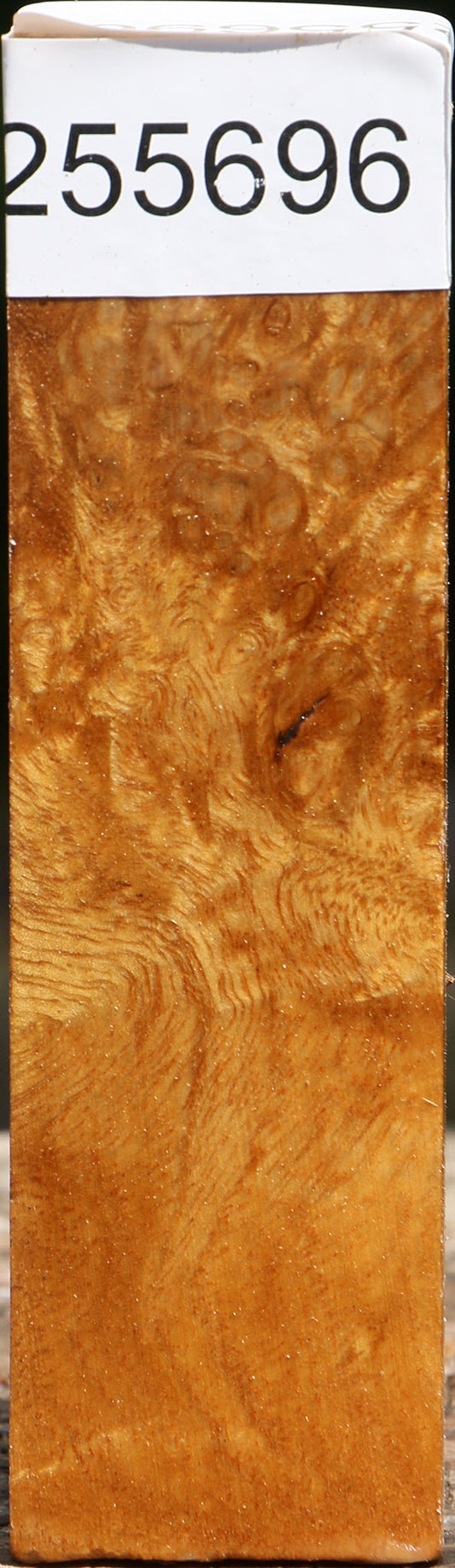 Almond Burl Turning Blank