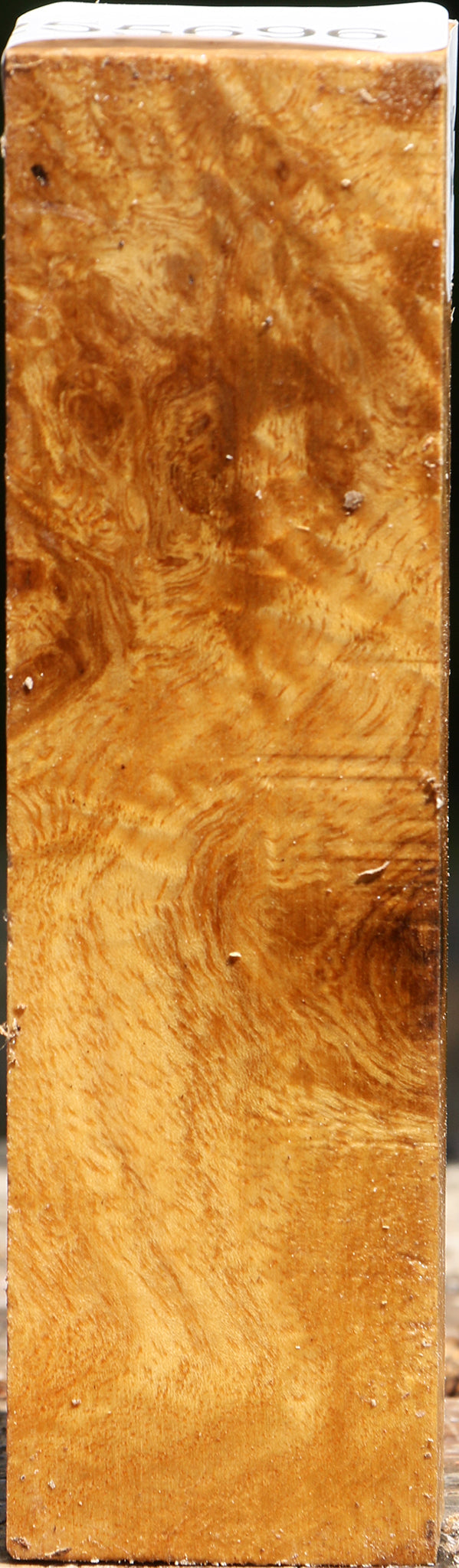 Almond Burl Turning Blank