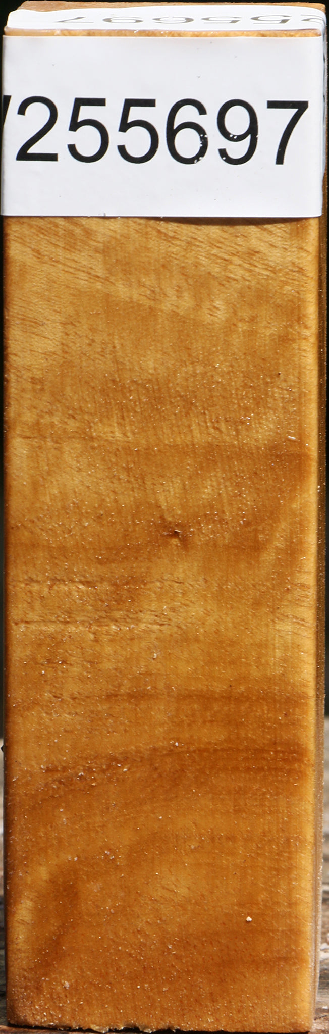 Figured Almond Burl Turning Square