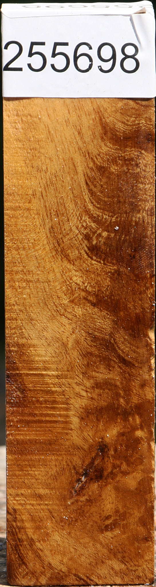 Almond Burl Turning Blank