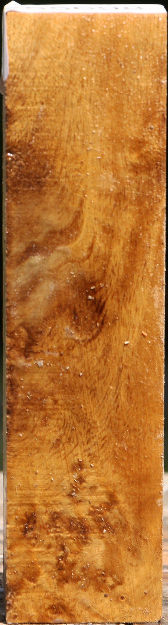 Almond Burl Turning Blank