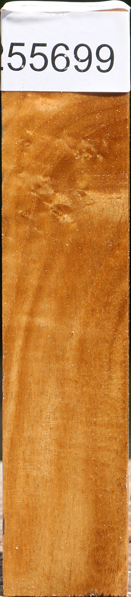 Almond Turning Blank