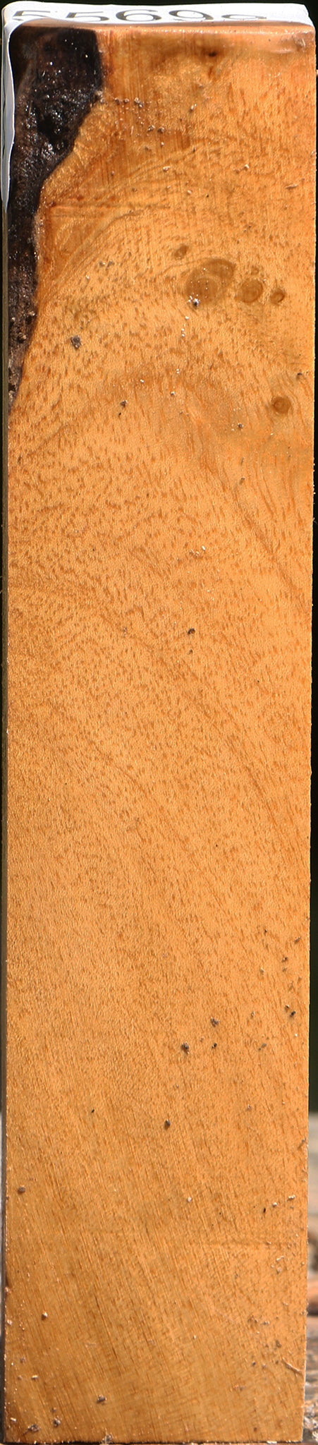 Almond Turning Blank