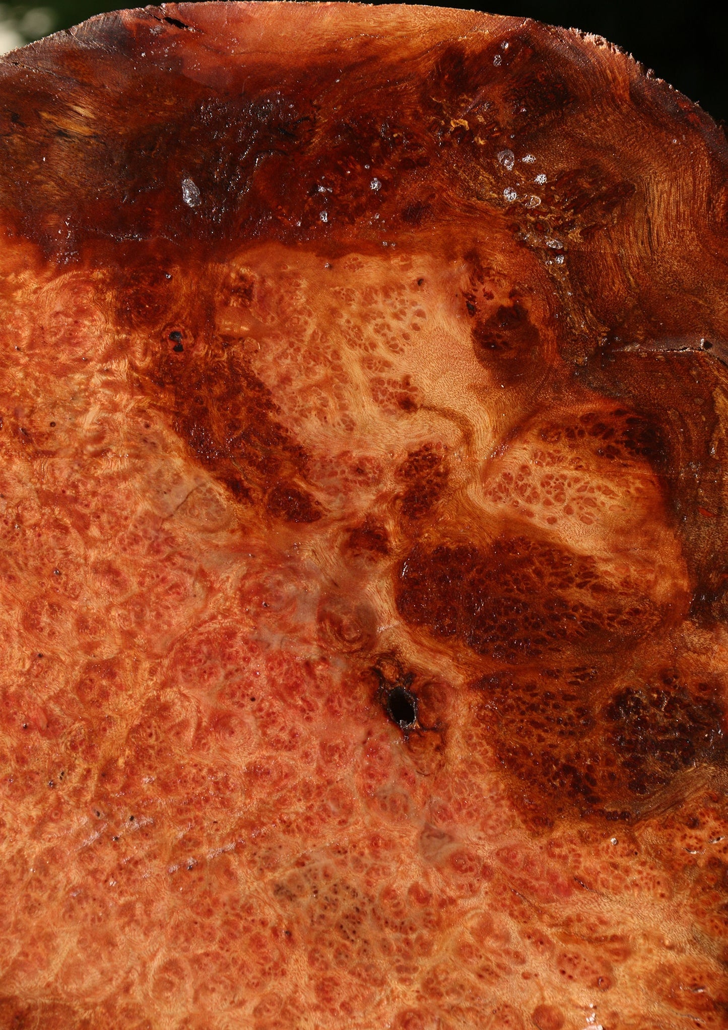 Afzelia Burl Live Edge Bowl Blank