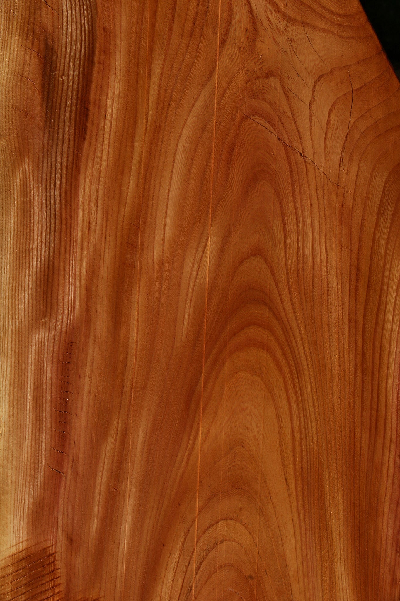 Figured Chinese Elm Live Edge Mini Slab