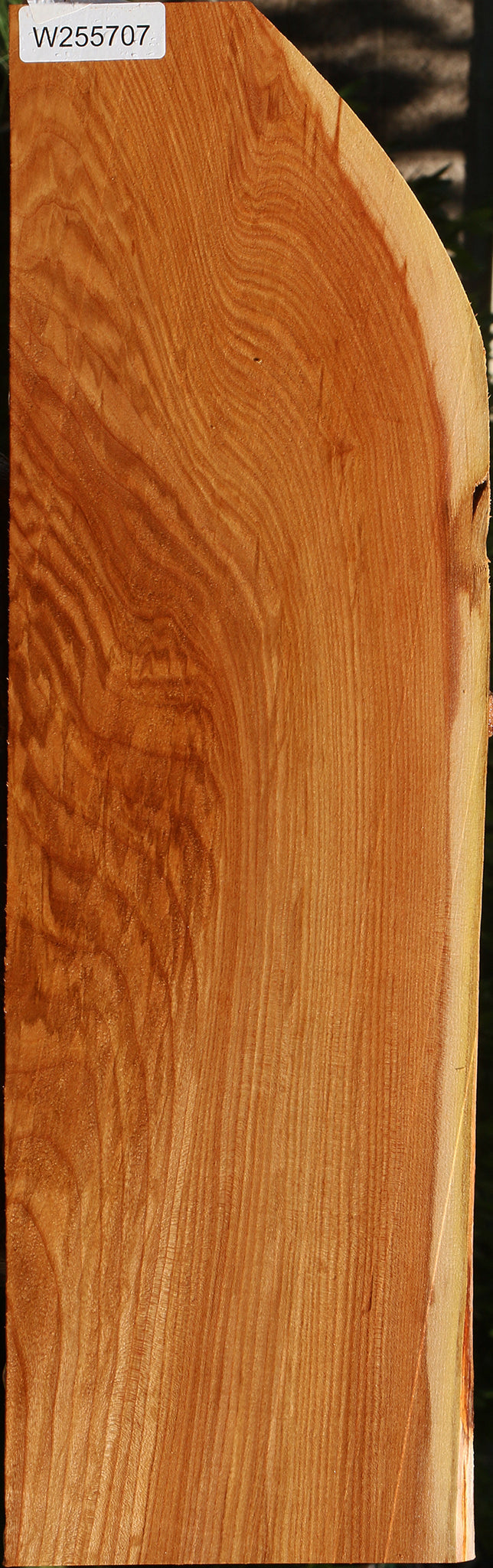 Figured Chinese Elm Lumber