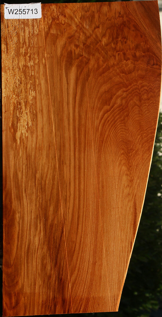 Chinese Elm Live Edge Lumber