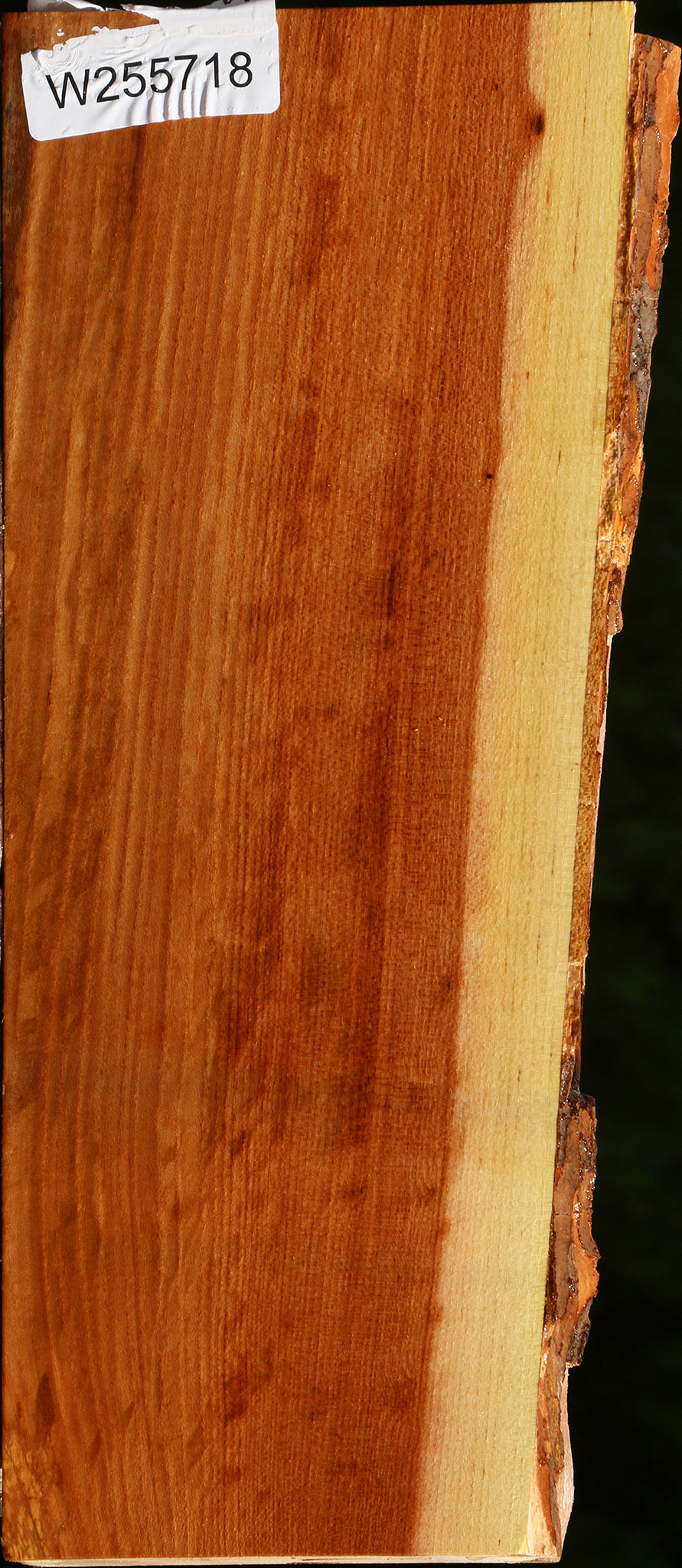 Chinese Elm Live Edge Lumber