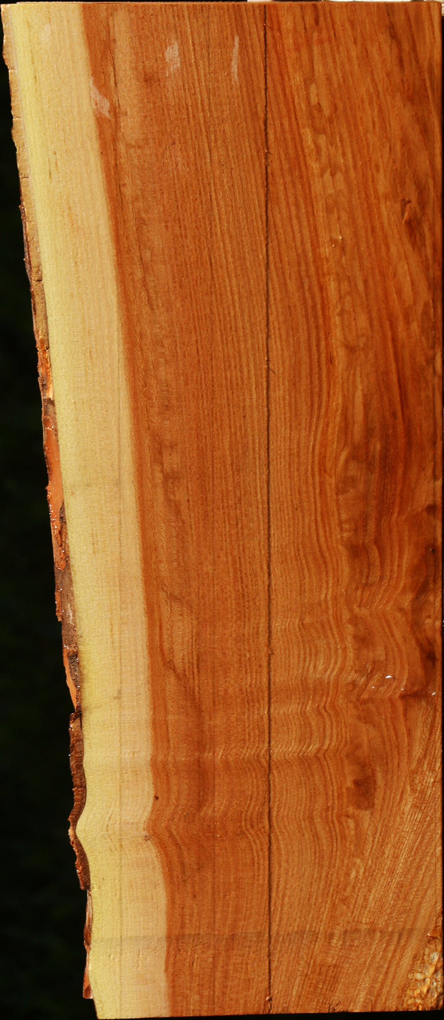 Chinese Elm Live Edge Lumber