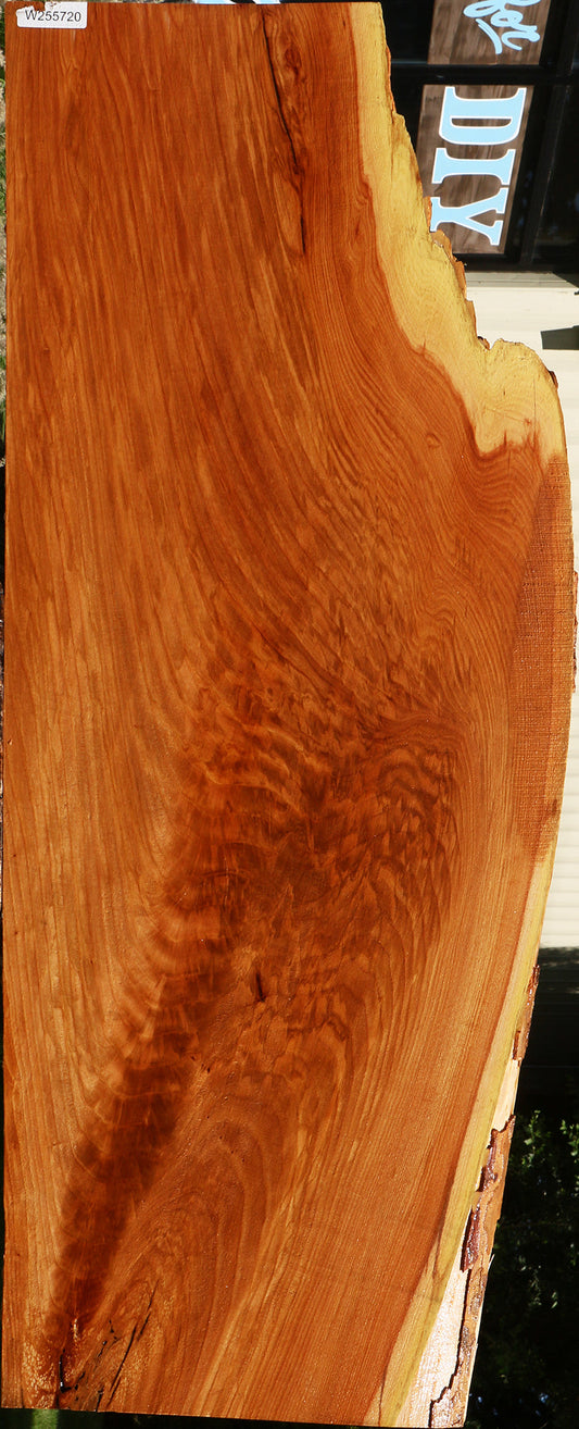 Extra Fancy Chinese Elm Live Edge Slab