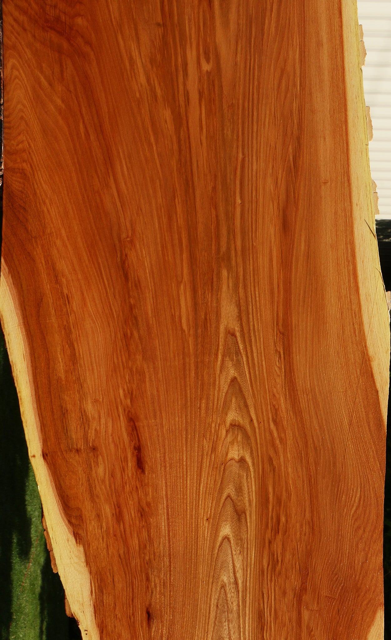Extra Fancy Chinese Elm Live Edge Slab (Freight Shipping Required)