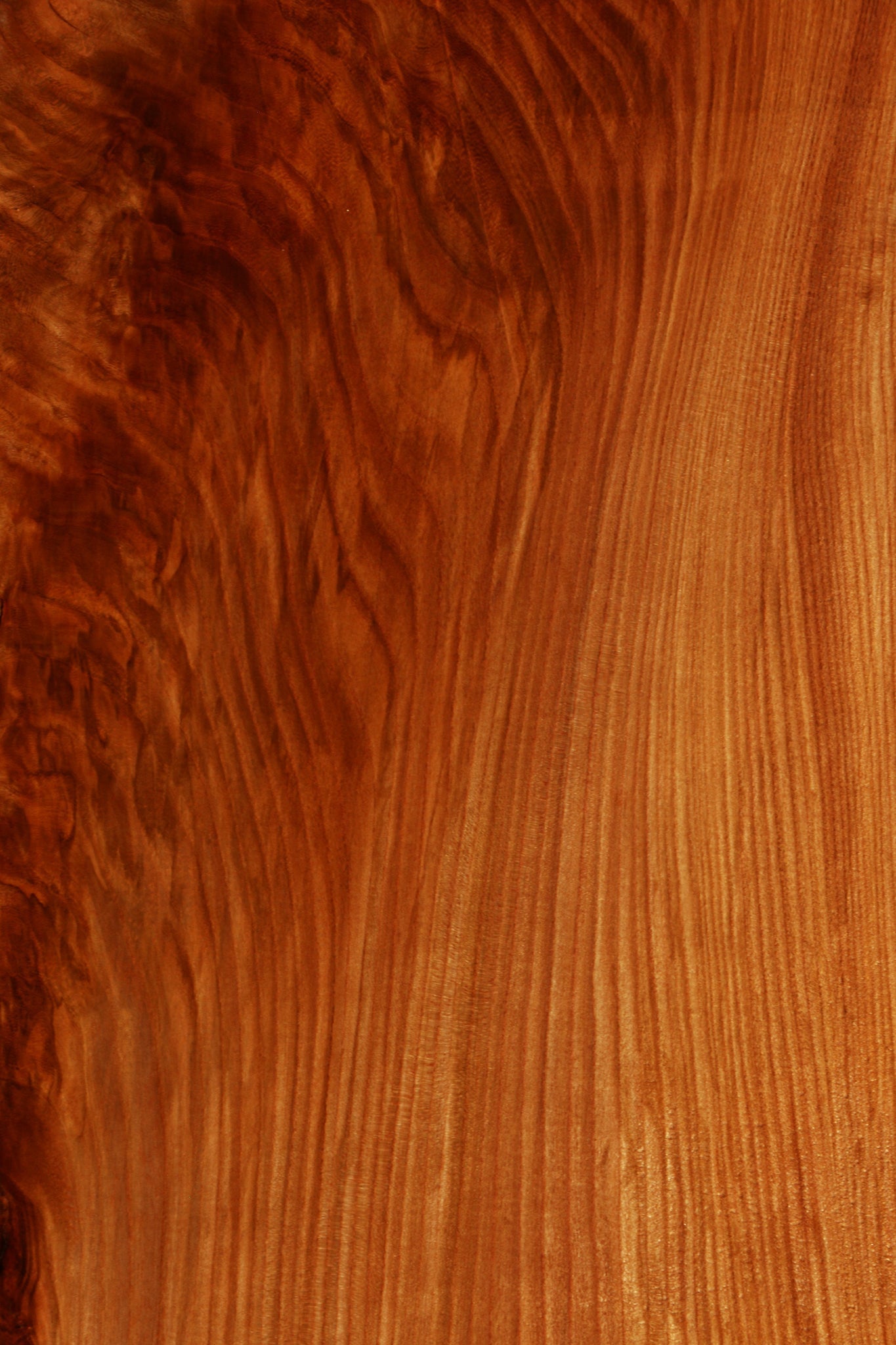 Figured Rustic Chinese Elm Live Edge Mini Slab