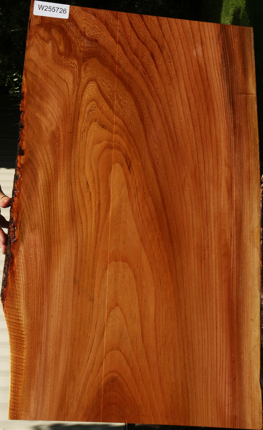 Chinese Elm Live Edge Lumber