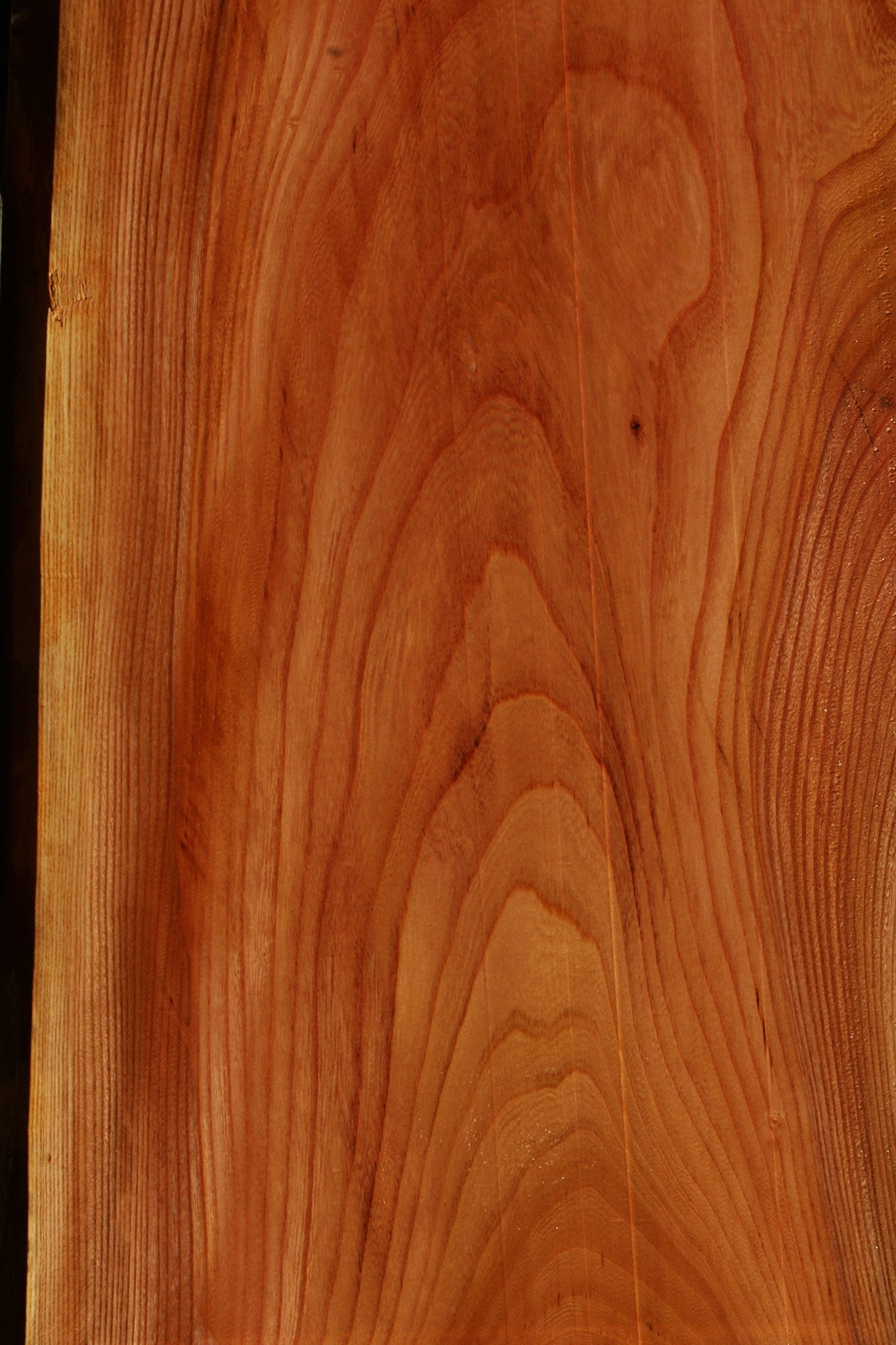 Chinese Elm Live Edge Lumber