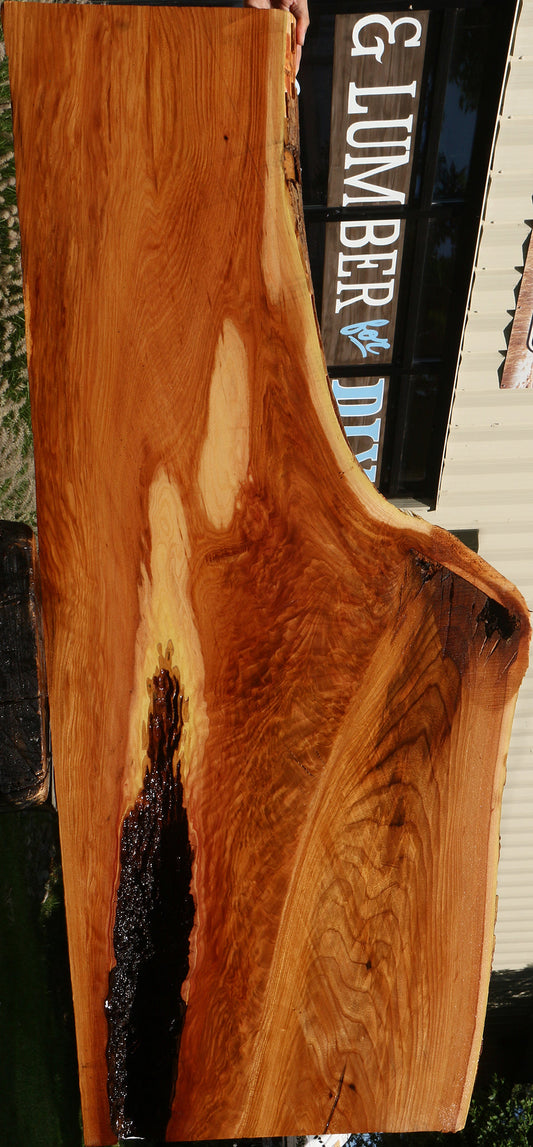 Extra Fancy Chinese Elm Live Edge Slab (Freight Shipping Required)