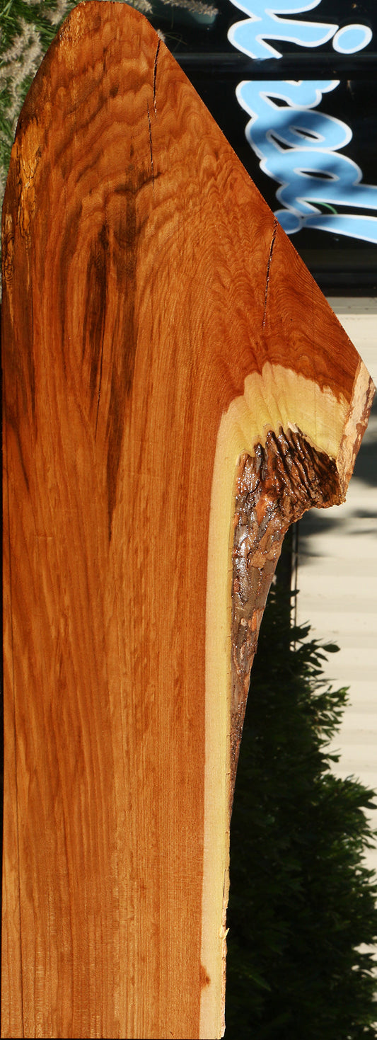Figured Chinese Elm Live Edge Lumber