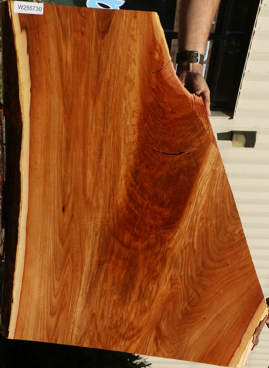 Extra Fancy Chinese Elm Live Edge Mini Slab