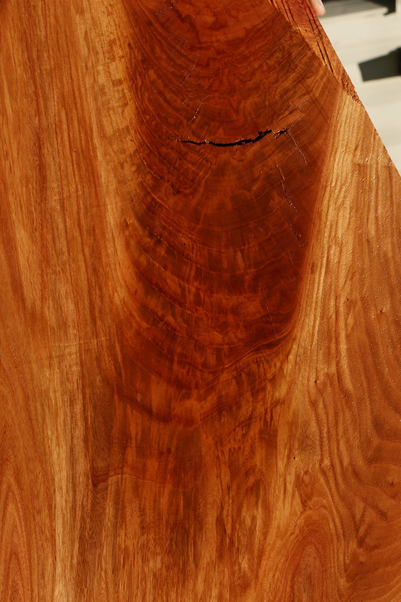 Extra Fancy Chinese Elm Live Edge Mini Slab