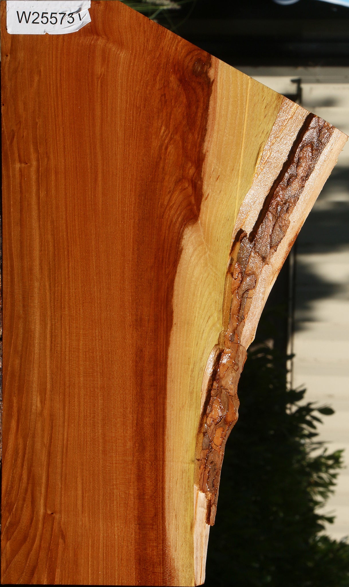 Chinese Elm Live Edge Lumber