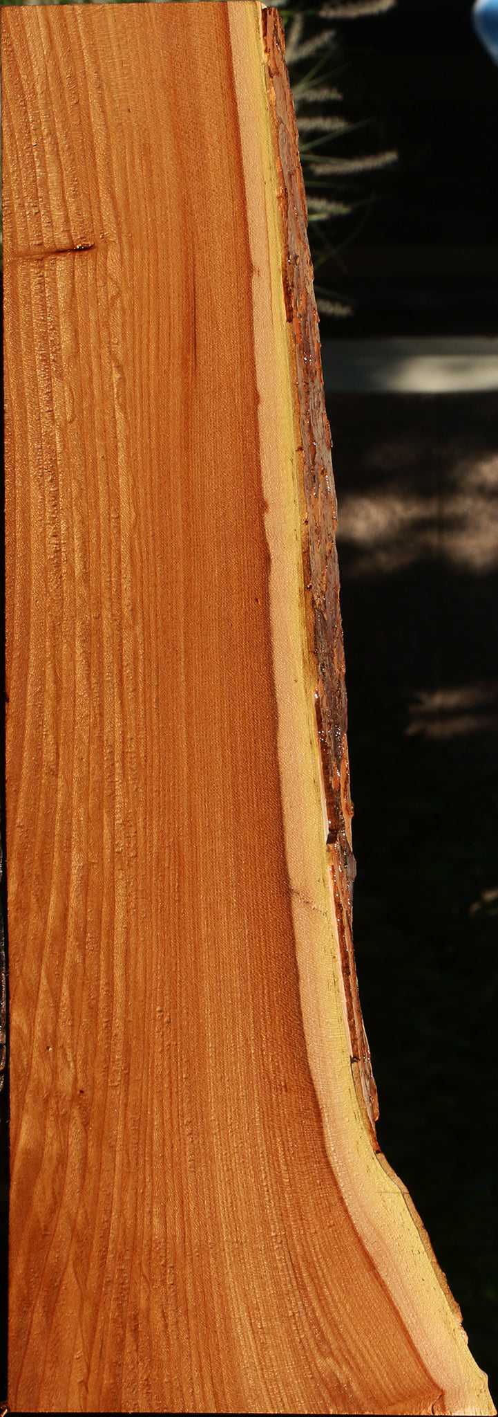 Chinese Elm Live Edge Lumber