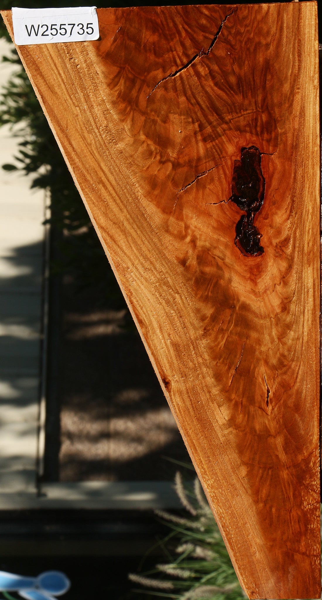 Extra Fancy Rustic Chinese Elm Lumber