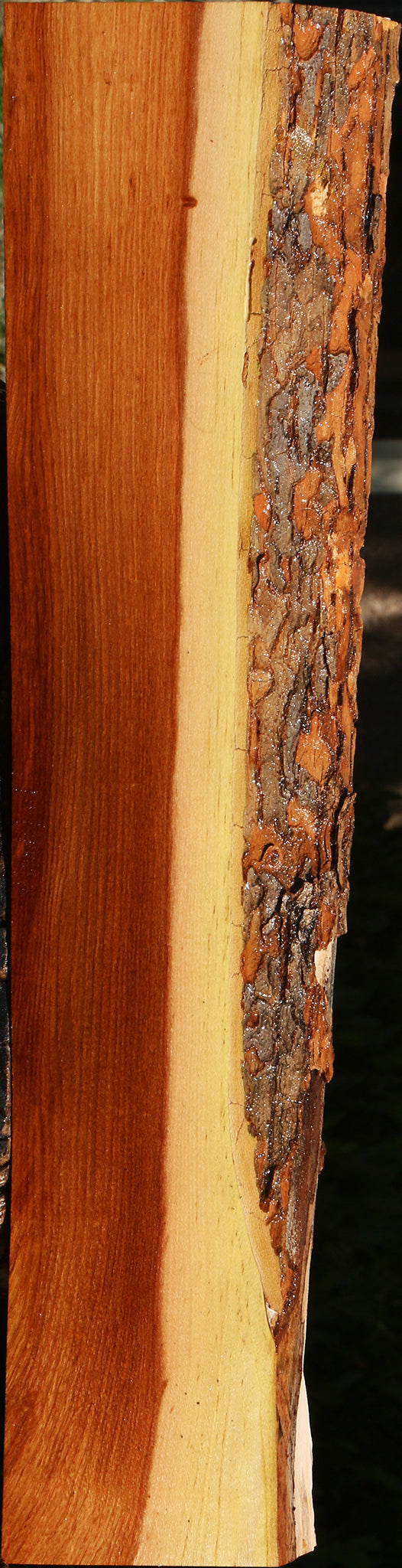 Chinese Elm Live Edge Lumber