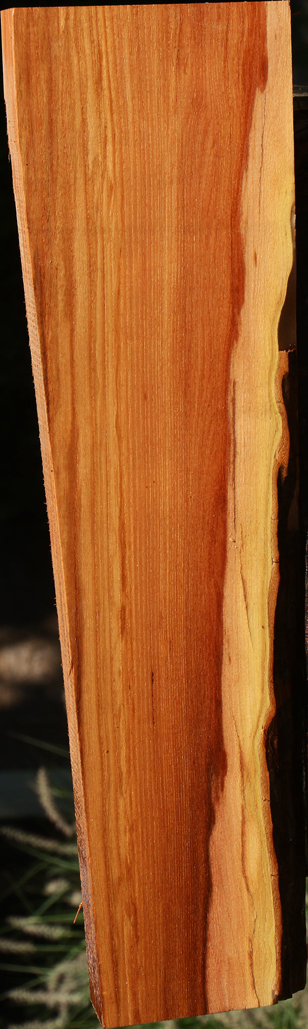 Chinese Elm Lumber