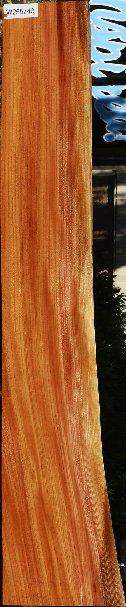 Chinese Elm Live Edge Lumber
