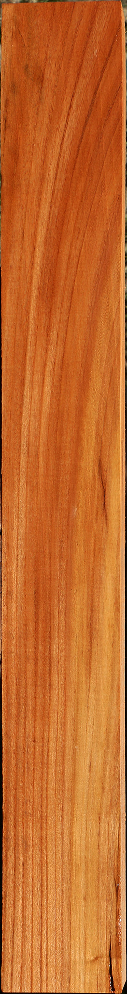 Chinese Elm Lumber