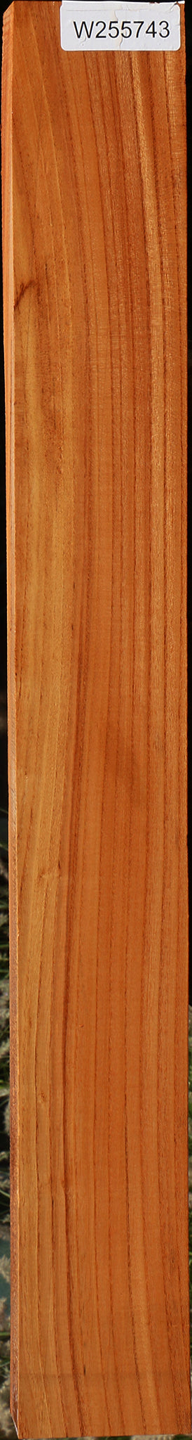 Chinese Elm Lumber