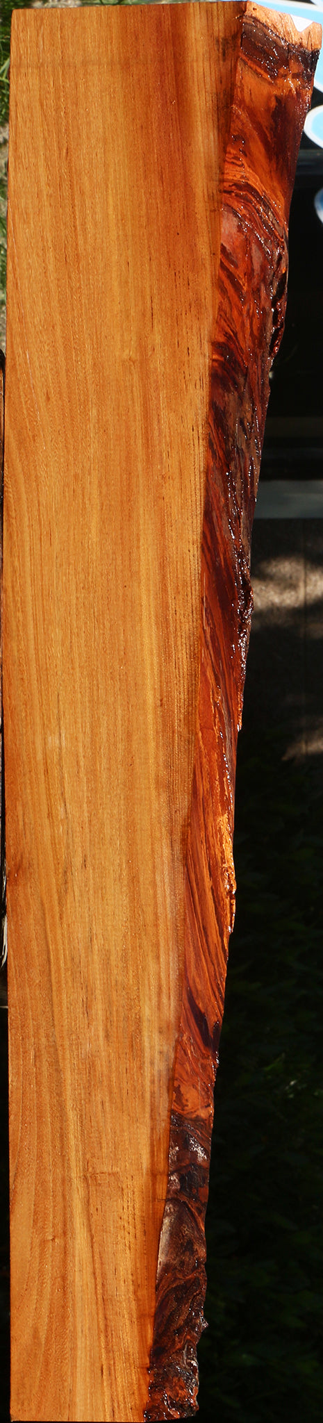 Chinese Elm Live Edge Lumber