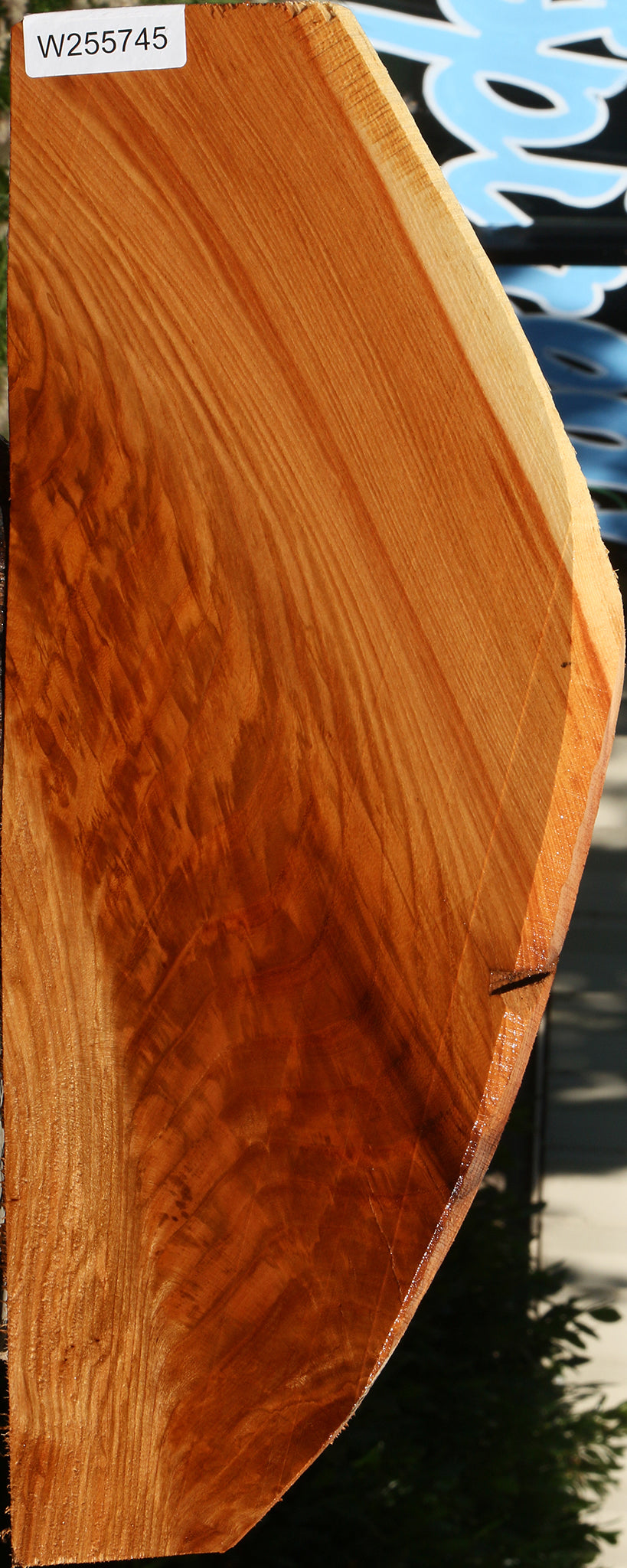 Figured Chinese Elm Lumber